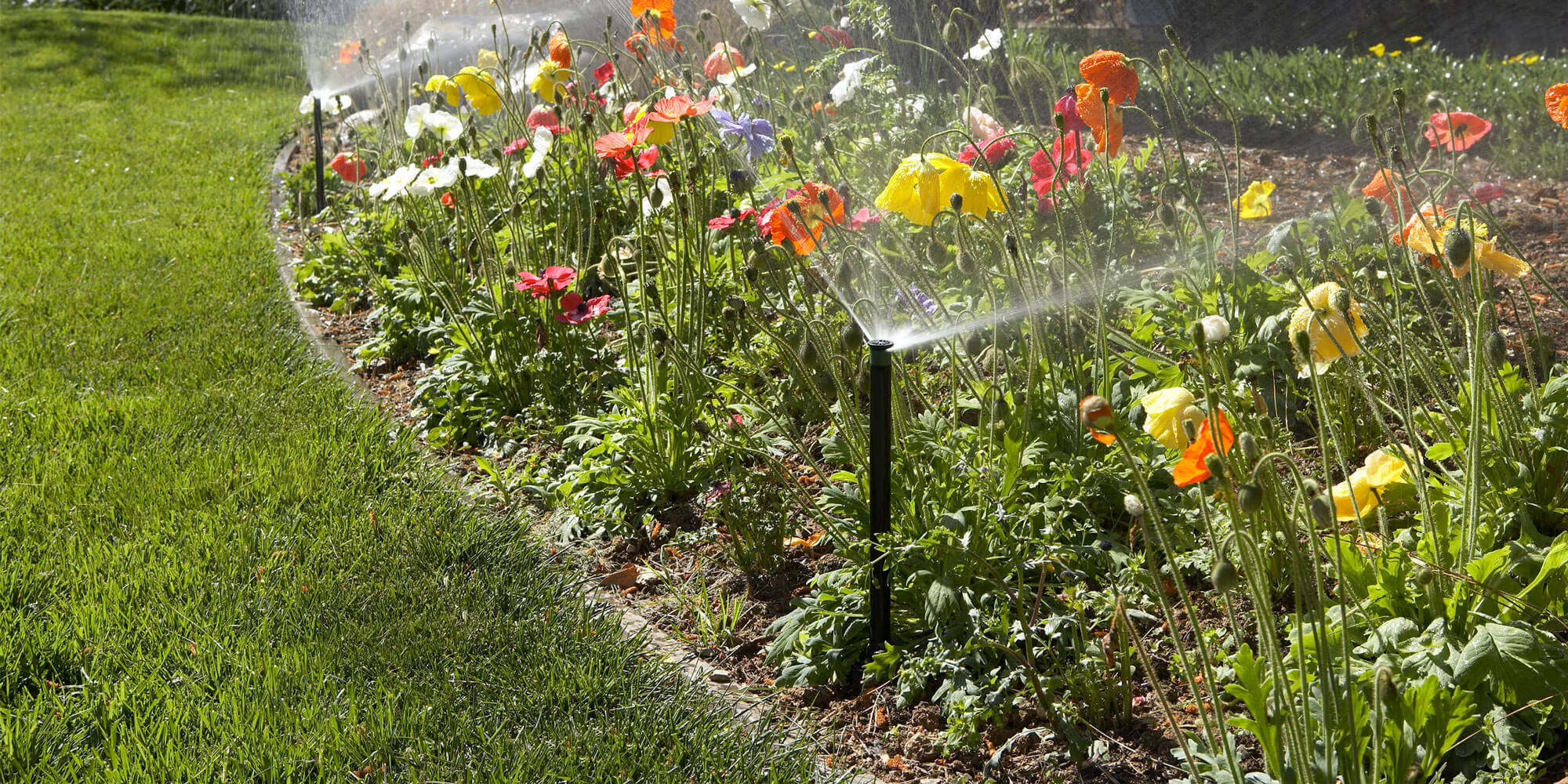 sprinklers in a flower bed